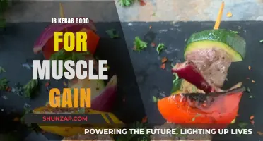 Can Kebabs Fuel Muscle Growth? Nutrition Facts and Fitness Tips
