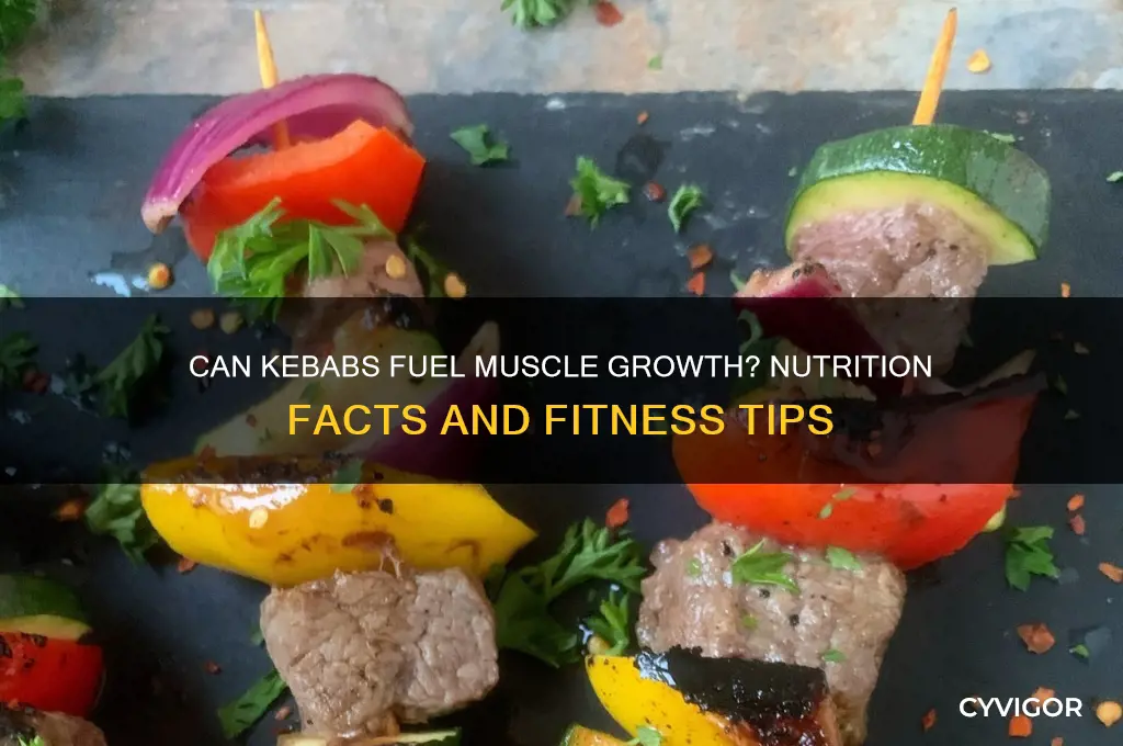 is kebab good for muscle gain