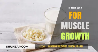 Kefir's Role in Muscle Growth: Benefits, Science, and Tips