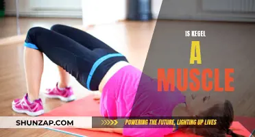 Kegel: A Muscle You Should Know About