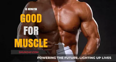 Keratin's Role in Muscle Health: Benefits, Myths, and Facts Explained