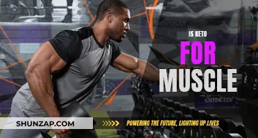 Keto for Muscle Gain: Is It Effective?