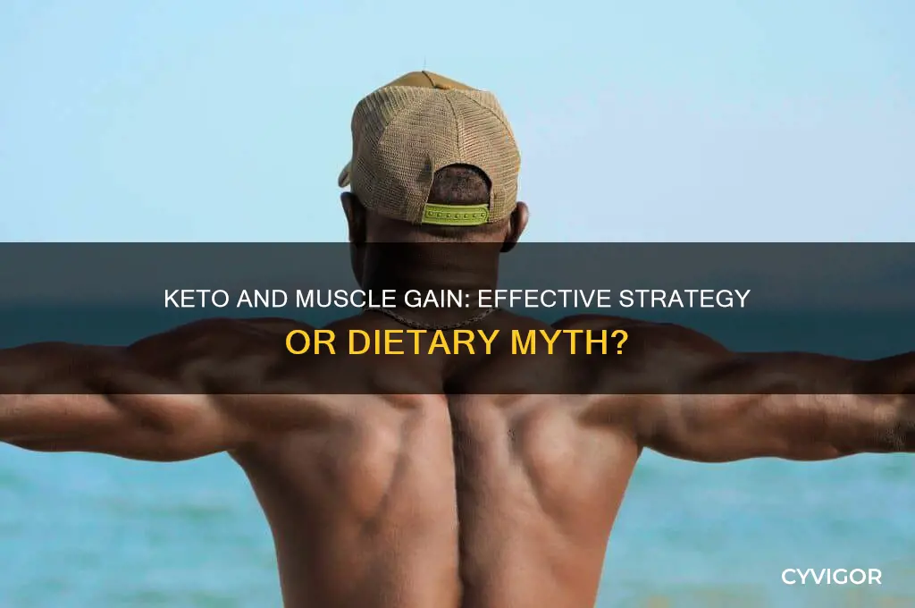 is keto good for muscle gain