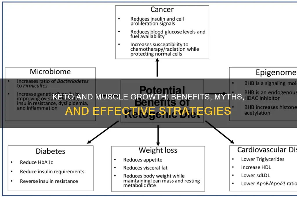 is keto good for muscle growth