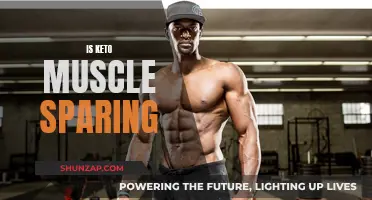 Keto Diet: Muscle Sparing or Draining?