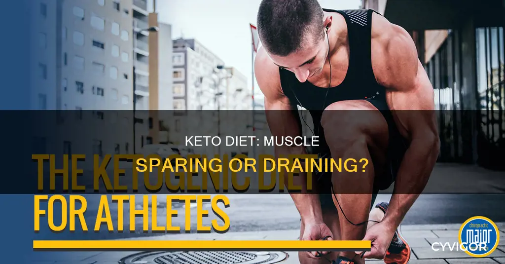 is keto muscle sparing