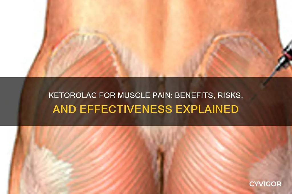 is ketorolac good for muscle pain