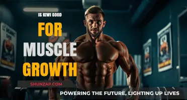 Kiwi's Role in Muscle Growth: Benefits and Nutritional Insights