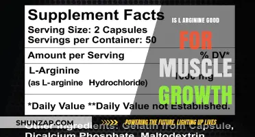 L-Arginine Benefits: Boosting Muscle Growth and Recovery Naturally