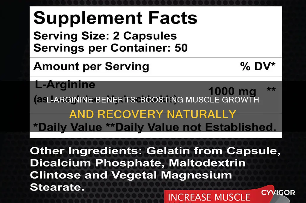 is l arginine good for muscle growth