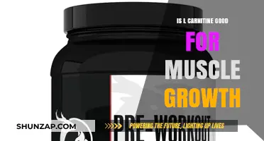 L-Carnitine for Muscle Growth: Benefits, Myths, and Science Explained