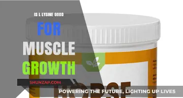 L-Lysine Benefits: Can This Amino Acid Boost Muscle Growth?