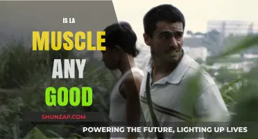 Is LA Muscle Worth It? A Comprehensive Review and Analysis