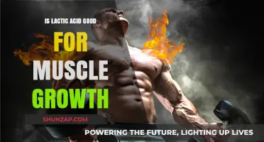 Lactic Acid and Muscle Growth: Benefits, Myths, and Effective Use