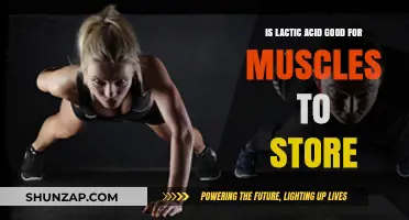 Lactic Acid's Role in Muscle Recovery and Energy Storage