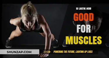 Lactic Acid Benefits: Enhancing Muscle Recovery and Performance Naturally