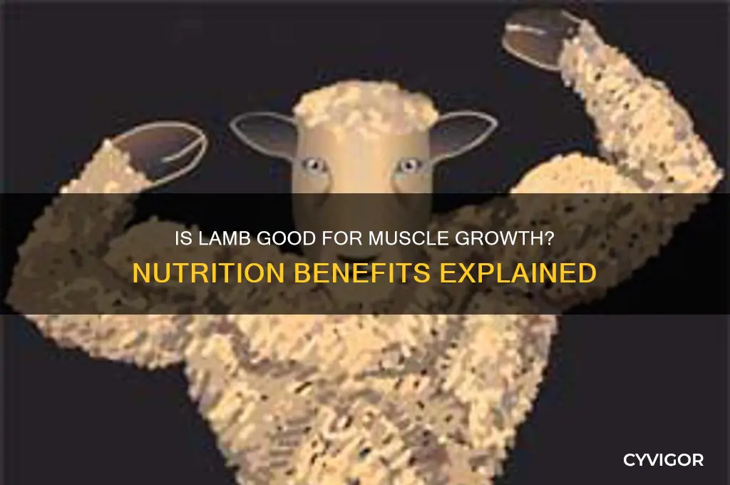 is lamb good for muscle growth