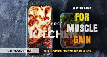 Lasagna for Muscle Gain: A Tasty Protein-Packed Fitness Fuel?