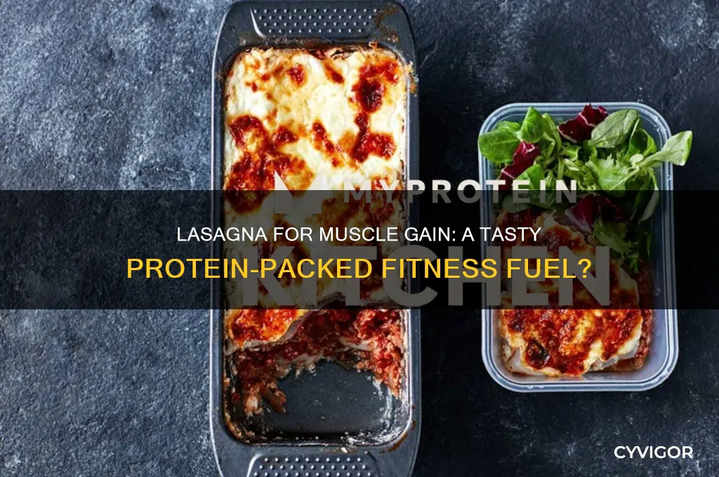 is lasagna good for muscle gain