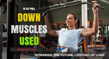 Lat Pull Down Muscles: Targeted Benefits and Effective Workout Techniques