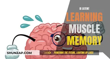 Muscle Memory and Latent Learning: What's the Connection?