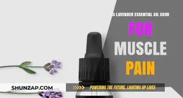 Lavender Essential Oil: Natural Remedy for Muscle Pain Relief?