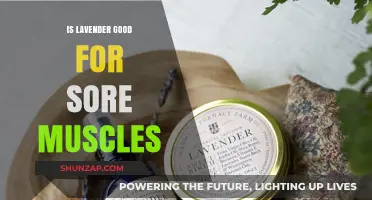 Lavender's Soothing Relief: Easing Sore Muscles Naturally and Effectively