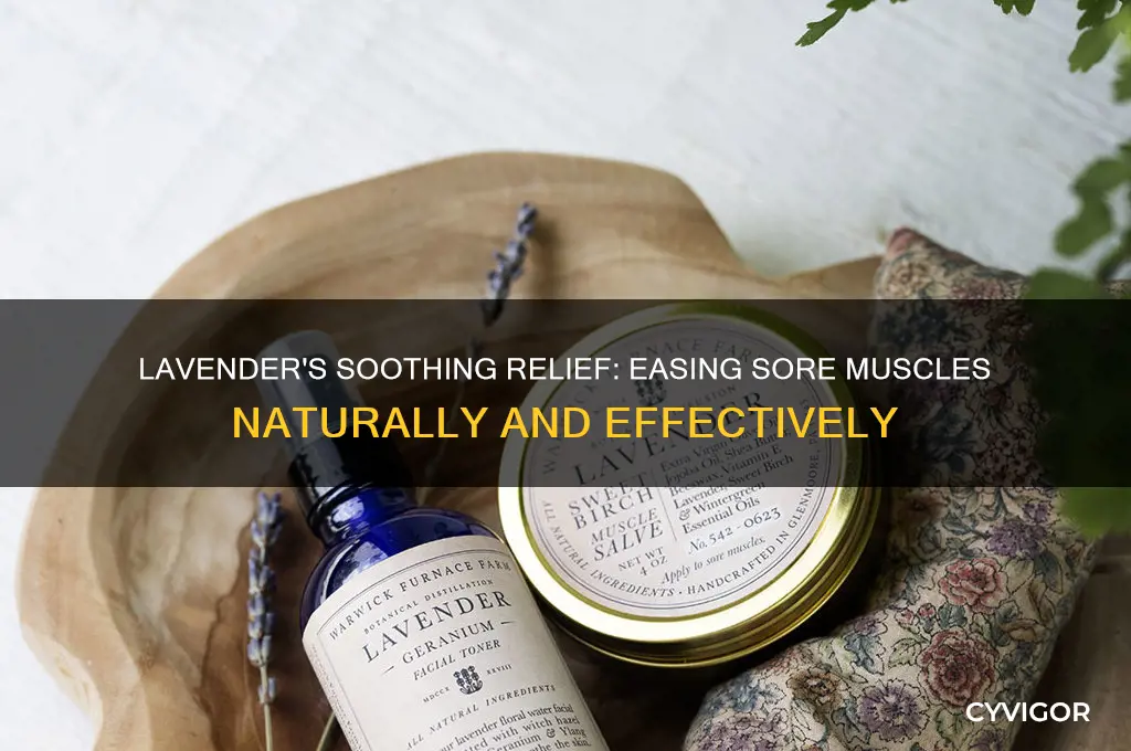 is lavender good for sore muscles
