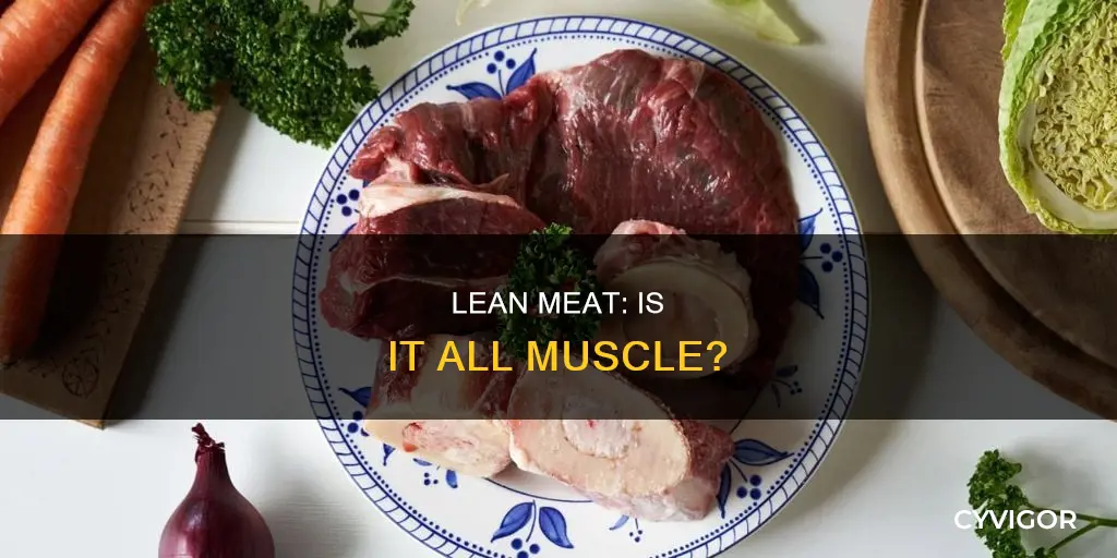 is lean meat muscle