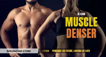 Lean Muscle Density: Fact or Fiction?