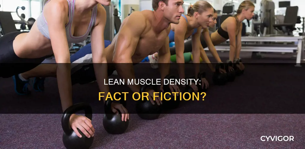 is lean muscle denser