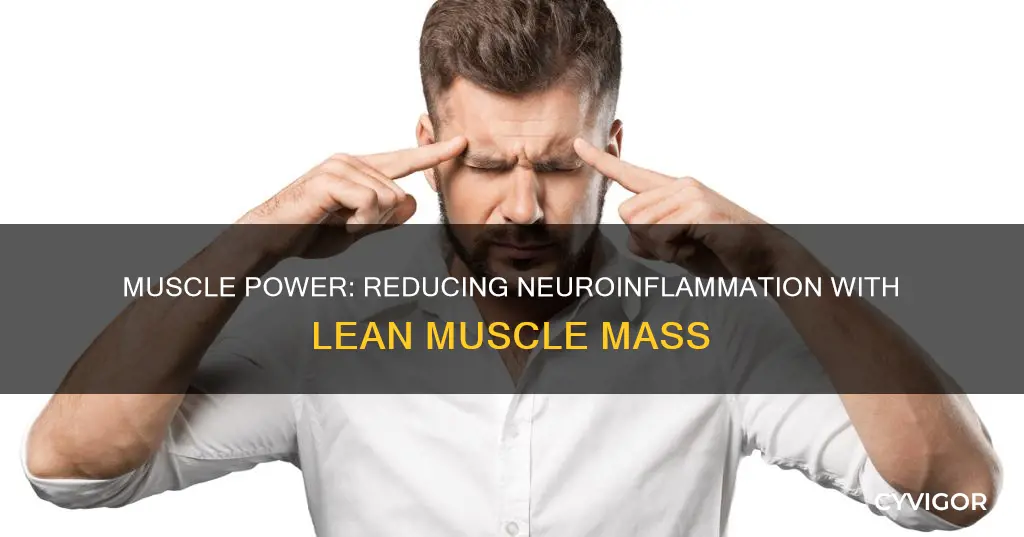 is lean muscle reduce neuroinflammation