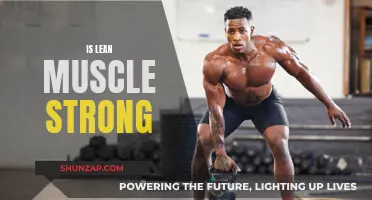Lean Muscle: Strong or Not?