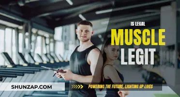Muscle-Building Legality: Is Legal Muscle Worthwhile?