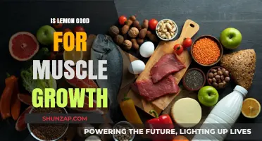 Lemon and Muscle Growth: Unlocking Benefits for Stronger, Leaner Muscles