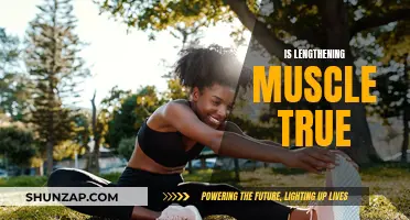 Muscle Lengthening: Fact or Fiction?