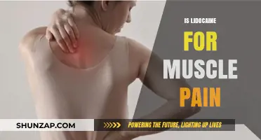 Lidocaine for Muscle Pain: Uses, Effectiveness, and Safety Explained