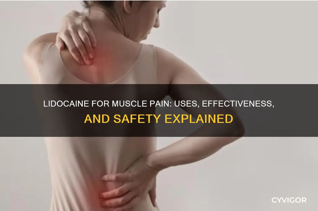 is lidocaine for muscle pain