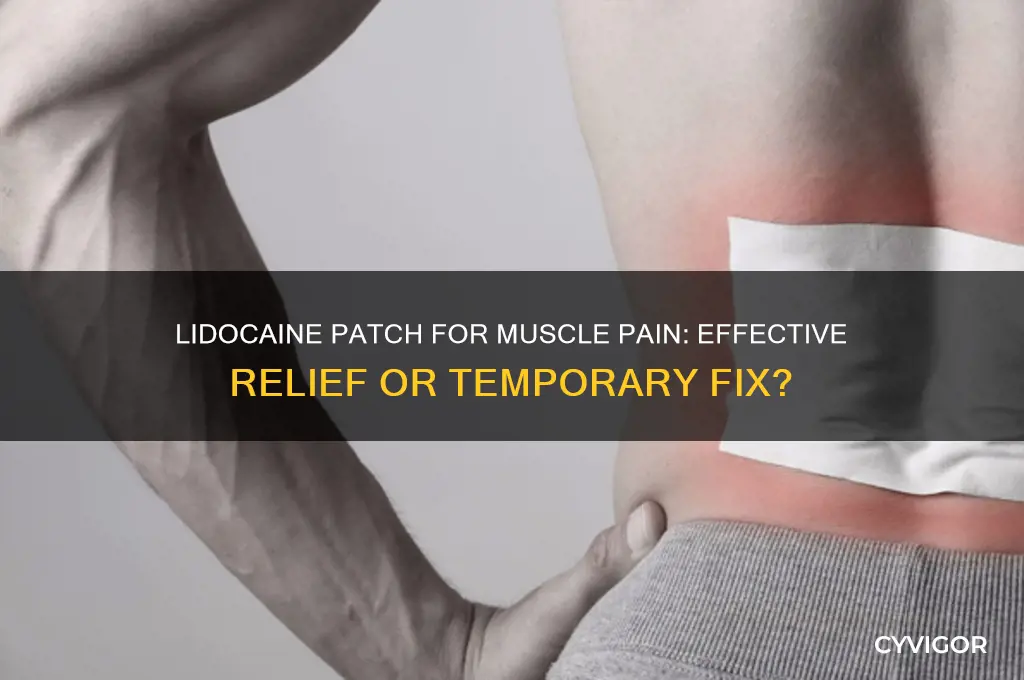 is lidocaine patch good for muscle pain