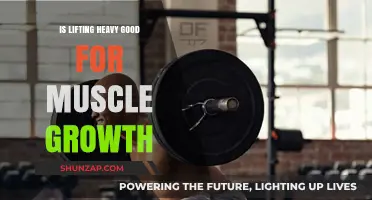 Heavy Lifting: Unlocking Optimal Muscle Growth and Strength Gains