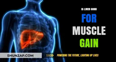 Liver for Muscle Gain: Benefits, Myths, and Effective Strategies