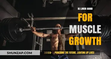 Liver's Role in Muscle Growth: Benefits, Myths, and Nutritional Insights