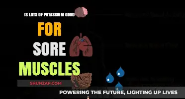 Potassium's Role in Muscle Recovery: Easing Soreness Naturally