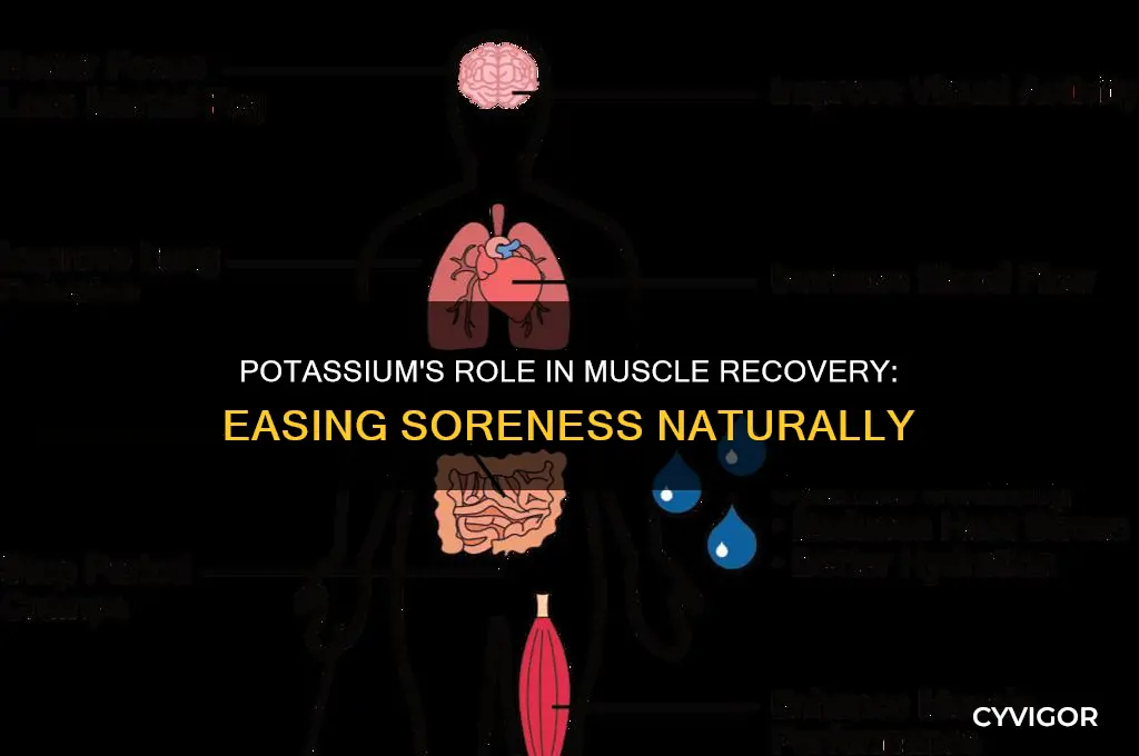 is lots of potassium good for sore muscles
