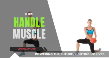 Love Handles: Are They Fat or Muscle?