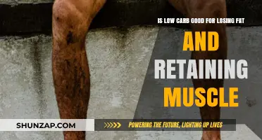 Low Carb Diets: Effective for Fat Loss and Muscle Retention?