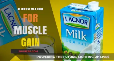 Low-Fat Milk for Muscle Gain: Benefits and Myths Explained