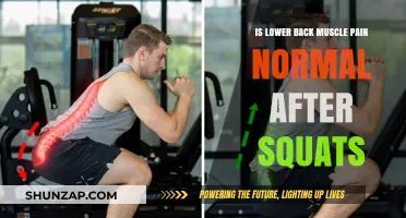 Is Lower Back Pain After Squats Normal? Causes and Solutions