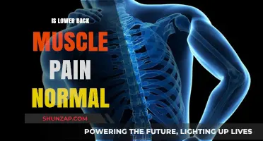Is Lower Back Muscle Pain Normal? Understanding Causes and Remedies