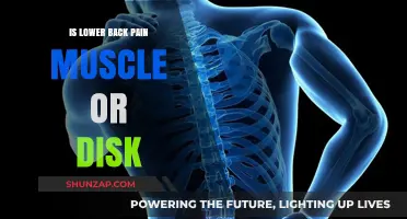 Lower Back Pain: Muscle Strain or Disc Issue Explained